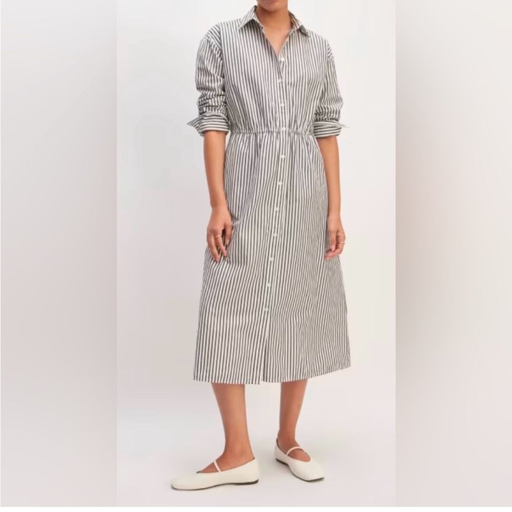 Everlane Supima striped shirt dress NWT size S